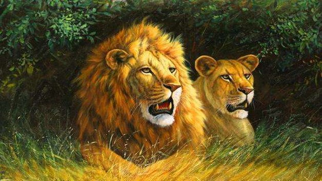 百兽之王是老虎还是狮子