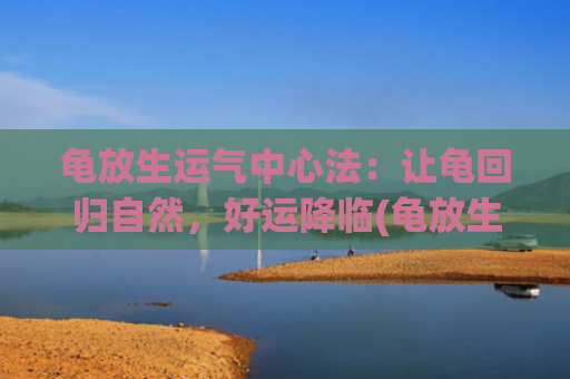 龟放生运气中心法：让龟回归自然，好运降临(龟放生什么时间好)
