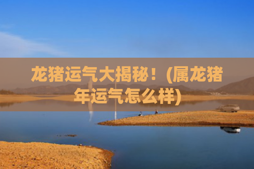 龙猪运气大揭秘！(属龙猪年运气怎么样)