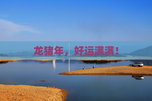 龙猪年，好运满满！