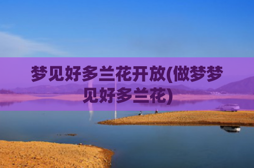 梦见好多兰花开放(做梦梦见好多兰花) 梦见好多兰花开放(做梦梦见好多兰花)