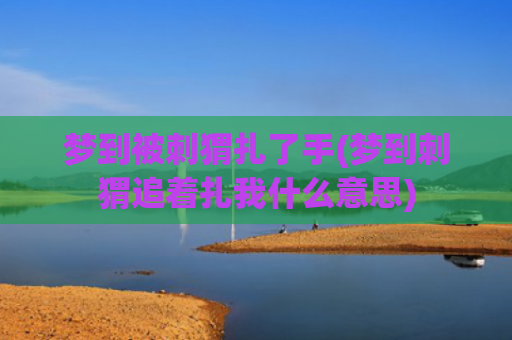 梦到被刺猬扎了手(梦到刺猬追着扎我什么意思) 梦到被刺猬扎了手(梦到刺猬追着扎我什么意思)