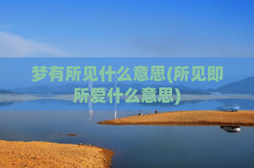 梦有所见什么意思(所见即所爱什么意思)