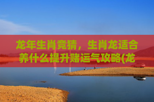 龙年生肖竞猜，生肖龙适合养什么提升赌运气攻略(龙年生肖纪念章)