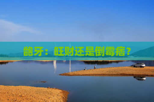 龅牙：旺财还是倒霉痞？