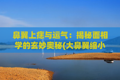 鼻翼上痣与运气：揭秘面相学的玄妙奥秘(大鼻翼缩小会改运气吗)