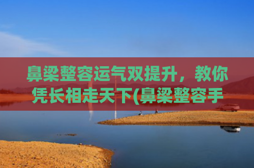 鼻梁整容运气双提升，教你凭长相走天下(鼻梁整容手术价格)