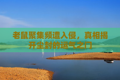 老鼠聚集频遭入侵，真相揭开尘封的运气之门