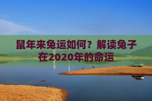 鼠年来兔运如何？解读兔子在2020年的命运