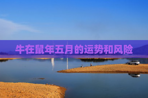 牛在鼠年五月的运势和风险