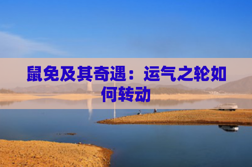 鼠免及其奇遇：运气之轮如何转动