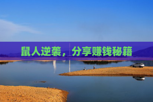 鼠人逆袭，分享赚钱秘籍