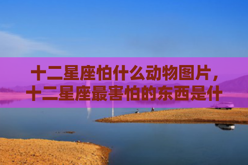 十二星座怕什么动物图片，十二星座最害怕的东西是什么和最喜欢的