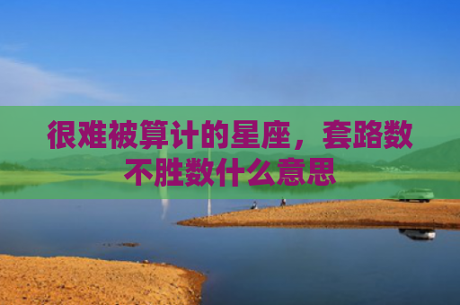 很难被算计的星座，套路数不胜数什么意思