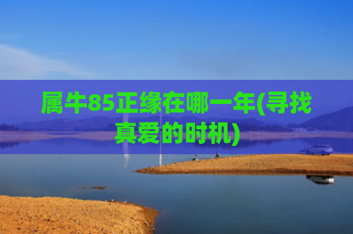 属牛85正缘在哪一年(寻找真爱的时机)