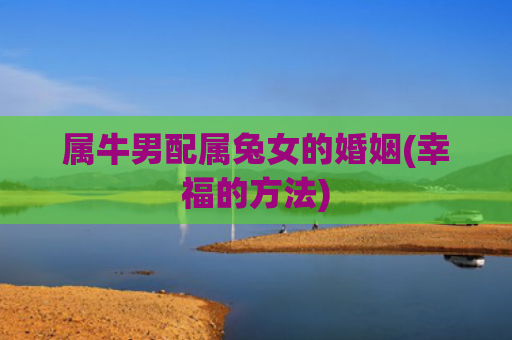 属牛男配属兔女的婚姻(幸福的方法)