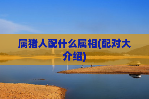 属猪人配什么属相(配对大介绍)