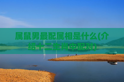 属鼠男最配属相是什么(介绍十二生肖中配对)
