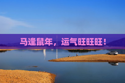 马逢鼠年，运气旺旺旺！