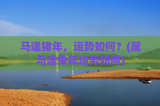 马逢猪年，运势如何？(属马逢兔年运势如何)