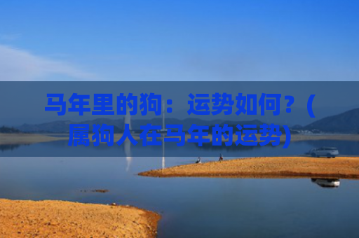 马年里的狗：运势如何？(属狗人在马年的运势)