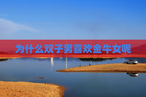 为什么双子男喜欢金牛女呢
