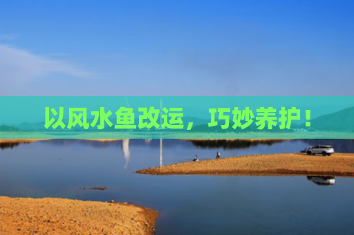 以风水鱼改运，巧妙养护！