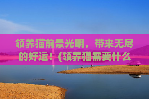 领养猫前景光明，带来无尽的好运！(领养猫需要什么条件)
