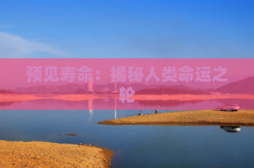 预见寿命：揭秘人类命运之轮