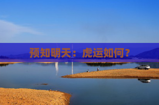 预知明天：虎运如何？