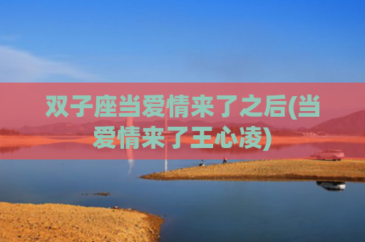 双子座当爱情来了之后(当爱情来了王心凌)