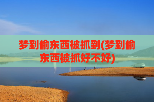 梦到偷东西被抓到(梦到偷东西被抓好不好)
