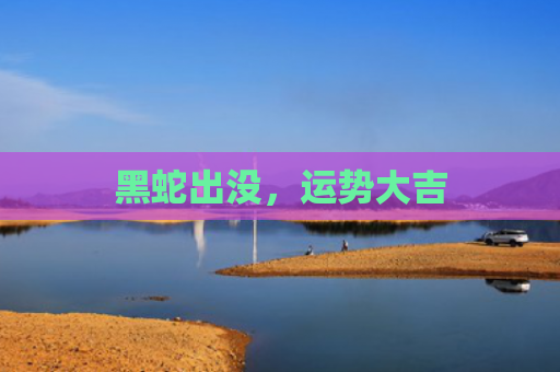 黑蛇出没，运势大吉