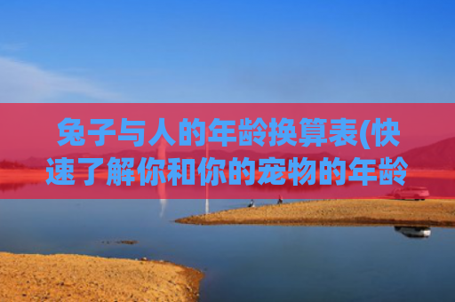 兔子与人的年龄换算表(快速了解你和你的宠物的年龄对比)