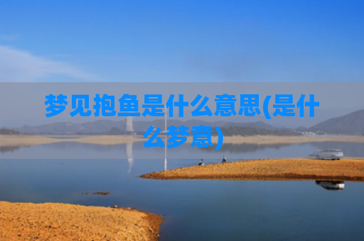 梦见抱鱼是什么意思(是什么梦意)