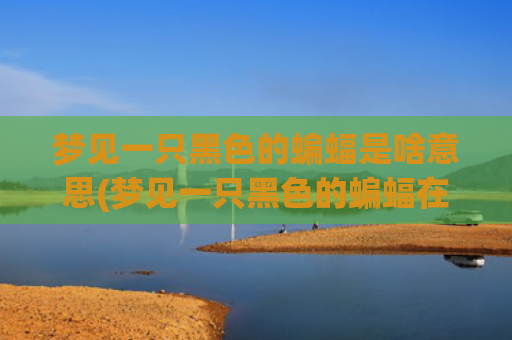 梦见一只黑色的蝙蝠是啥意思(梦见一只黑色的蝙蝠在床上赶不走)