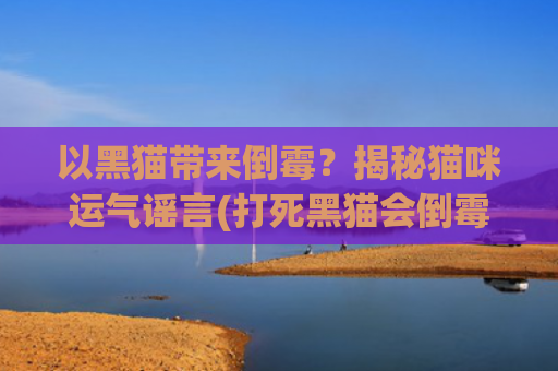 以黑猫带来倒霉？揭秘猫咪运气谣言(打死黑猫会倒霉吗)