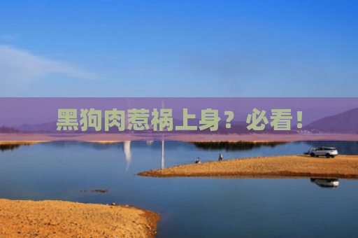 黑狗肉惹祸上身？必看！