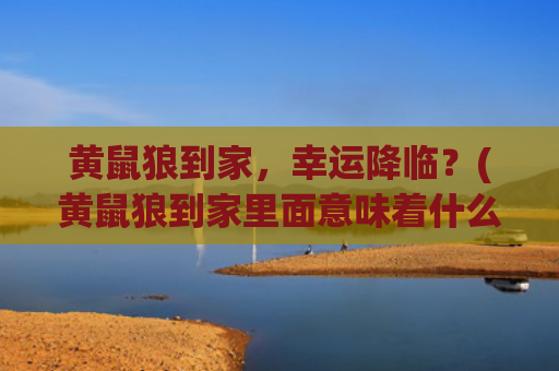 黄鼠狼到家，幸运降临？(黄鼠狼到家里面意味着什么)