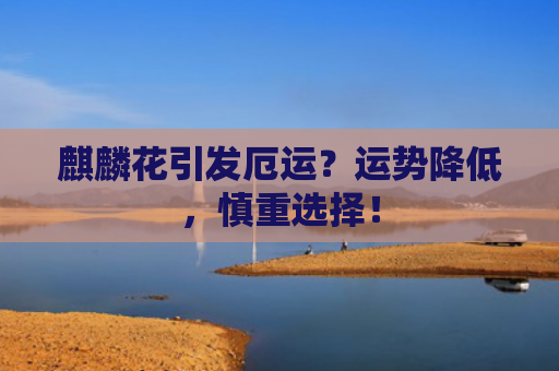 麒麟花引发厄运？运势降低，慎重选择！