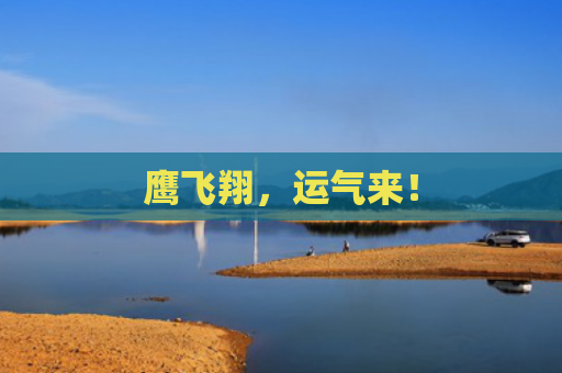 鹰飞翔，运气来！