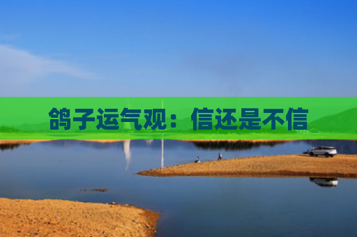 鸽子运气观：信还是不信