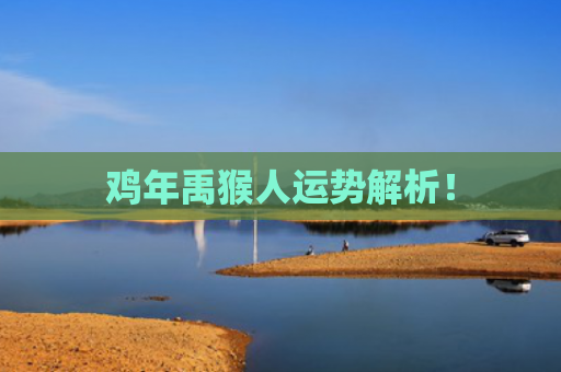 鸡年禹猴人运势解析！
