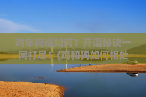 鸡年狗运如何？开运秘诀一网打尽！(鸡和狗如何相处)
