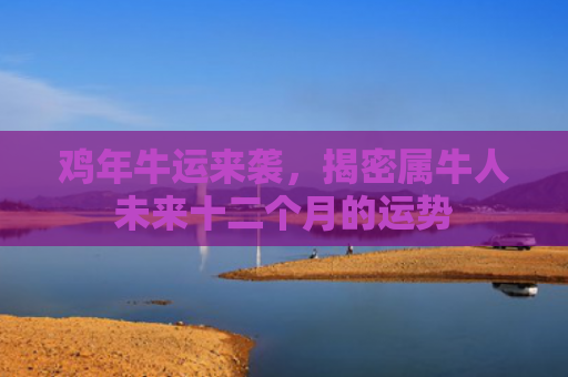鸡年牛运来袭，揭密属牛人未来十二个月的运势