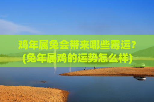 鸡年属兔会带来哪些霉运？(兔年属鸡的运势怎么样)