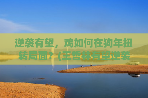 逆袭有望，鸡如何在狗年扭转局面？(王哲林有望逆袭)