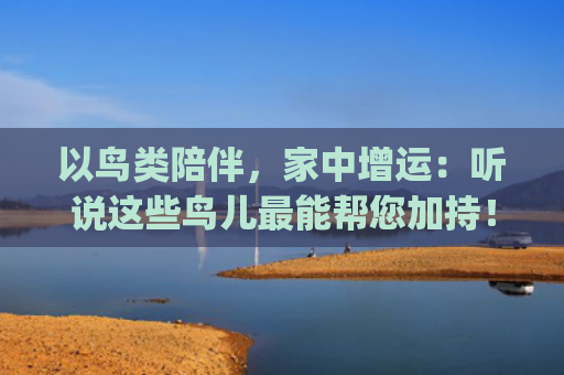 以鸟类陪伴，家中增运：听说这些鸟儿最能帮您加持！(家中进入奇怪鸟类)
