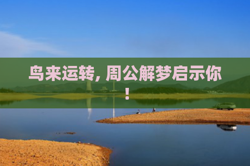 鸟来运转, 周公解梦启示你！