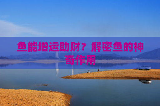 鱼能增运助财？解密鱼的神奇作用